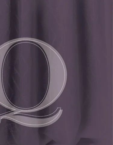 Pinhook Branding LLC 灯饰目录 · Quorum 灯饰 2014 wall mount