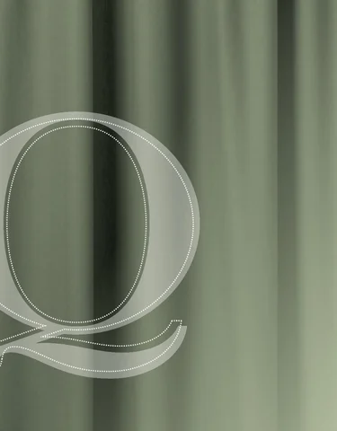 Pinhook Branding LLC 灯饰目录 · Quorum 灯饰 册 2013 吸顶灯 Mounts
