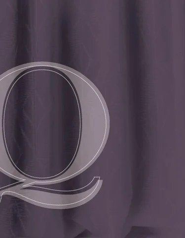Pinhook Branding LLC 灯饰目录 · Quorum 灯饰 册 2013 Wall Mounts