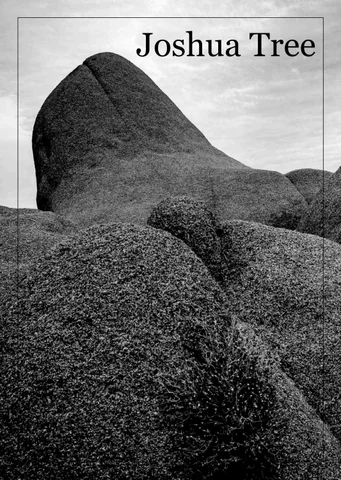 Joshua Tree