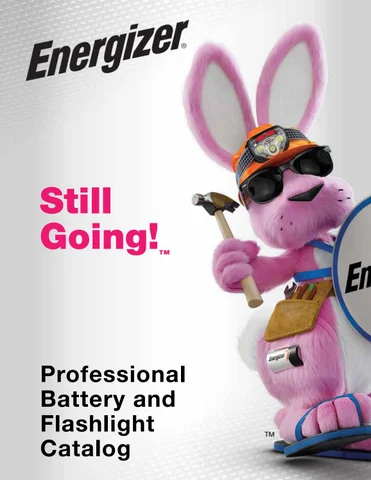 Ram Tool Construction Supply Co. Energizer 专业 Power and 灯饰目录