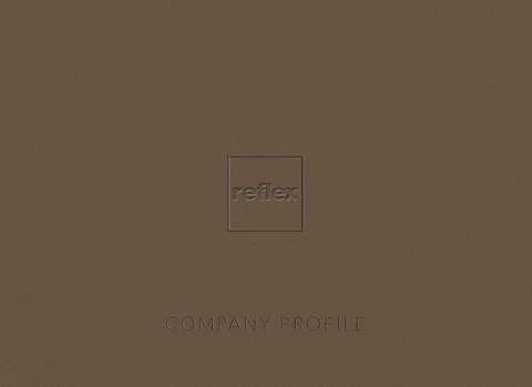 Company 型材灯