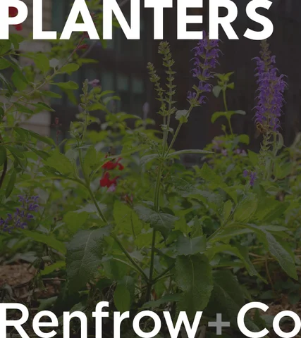 Renfrow+Co Planters Portfolio