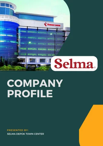 Company 型材灯 Selma DTC