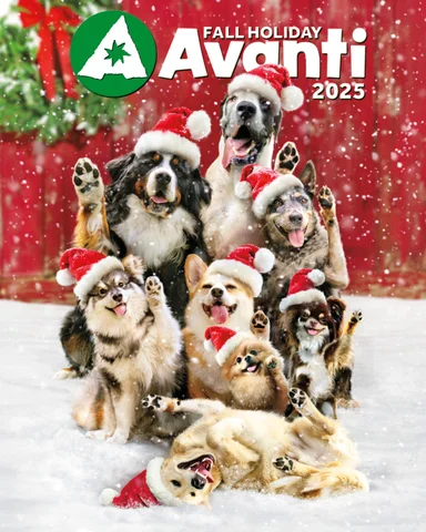 Avanti Brand 2025 Fall Holiday 灯饰目录