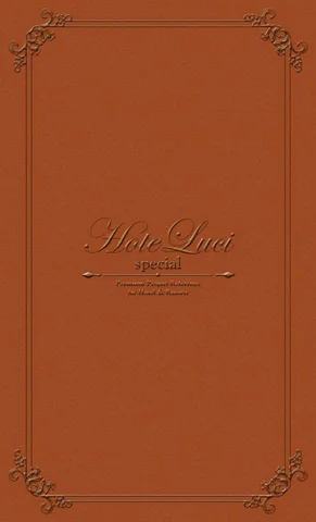 Luci Pte. Ltd. official 灯饰目录 · Hoteluci special 版