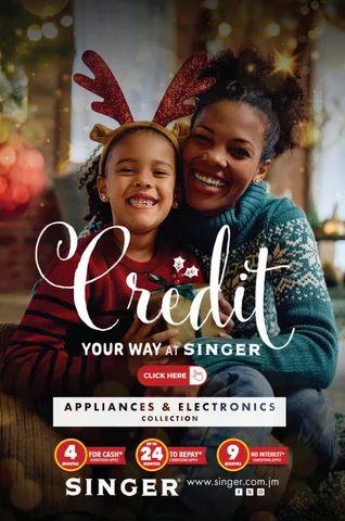 SINGER-Christmas- 家具目录 -2024 (Appliances)