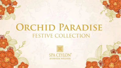 Orchid Paradise - Festive 灯饰产品集 - 2025