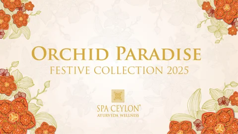 Orchid Paradise Festive 灯饰产品集 2025