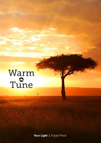Linealight Warm tune