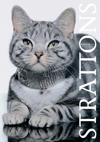 Strattons 家具手册