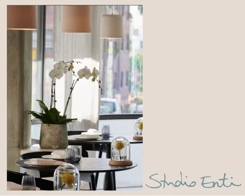 studioenti 灯饰目录 · Dawn Pendants In Situ