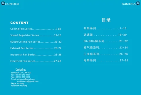 工业风 吸顶灯 fans(qj)2018