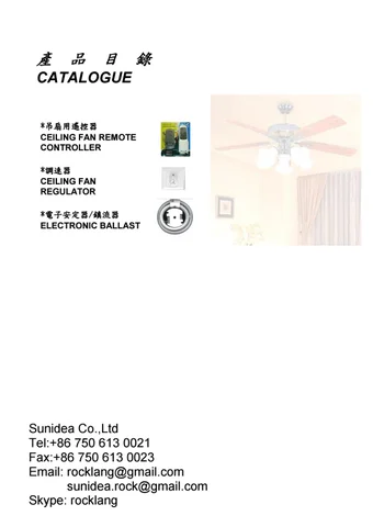Remote 灯饰目录