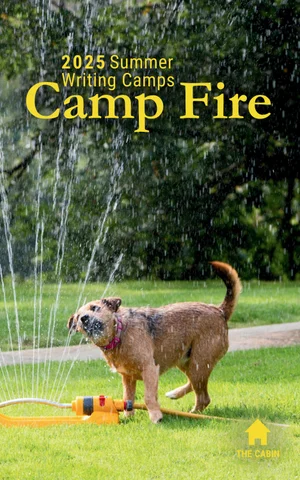 Camp Fire 2025