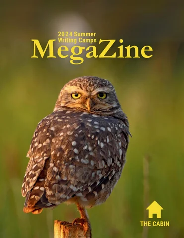 MegaZine 2024