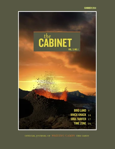 The Cabin, a center for readers & writers 家具目录 · The 柜