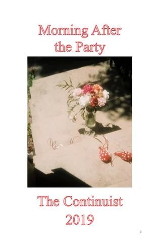 Morning After the Party - THE CONTINUIST PERFECT BOUND 2019