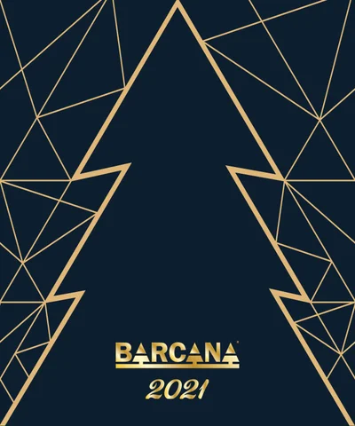 thedecorgroup 2021 Barcana Holiday 软装 and 灯饰目录