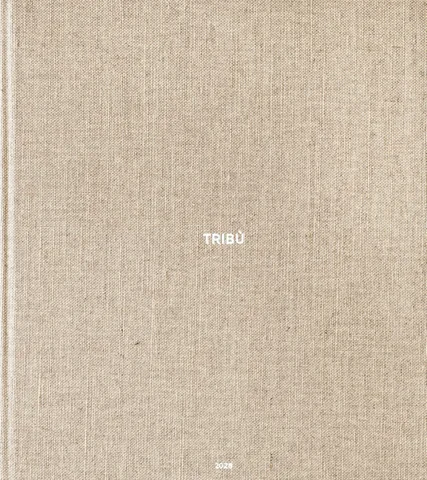 Tribù 灯饰目录 2026