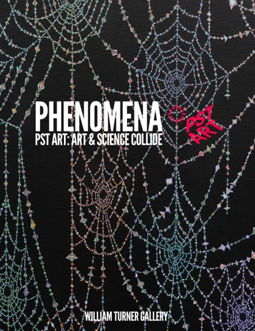 Phenomena Exhibition 灯饰目录