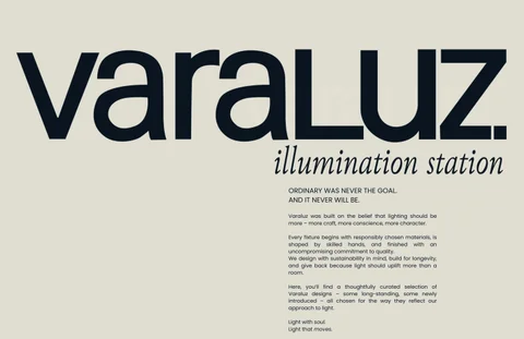 Varaluz Top Products 冬季 2026