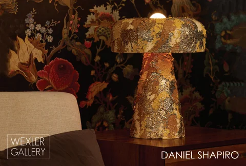 Daniel Shapiro